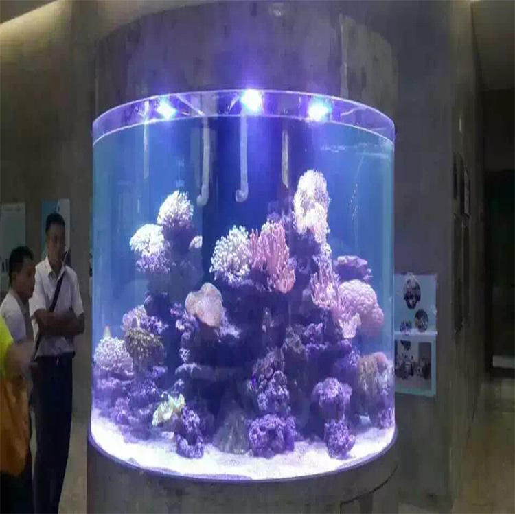 Round Aquarium Cylindrical Fish Tank for Sale Eco-friendly
