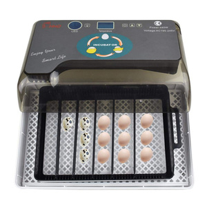 Incubatrice Novital Covatutto 16L Per Uova - Manuale Con Girauova, Per Polli, Uccelli, Tartarughe E Rettili - Foto 8