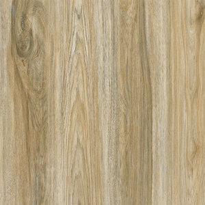 Gạch Lát Sàn Bằng Sứ Trang Trí Nội Thất Phòng Khách Thiết Kế Mới Nhất - Product Image 5