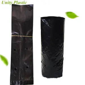 高品质的黑色塑料植物苗袋西红柿种植袋价格
