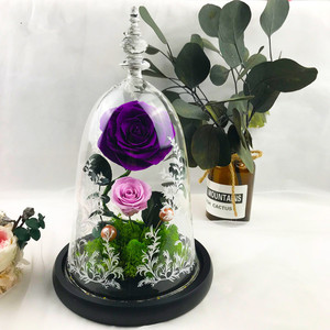 Rosas <span class=keywords><strong>de</strong></span> <span class=keywords><strong>La</strong></span> <span class=keywords><strong>Bella</strong></span> <span class=keywords><strong>y</strong></span> <span class=keywords><strong>La</strong></span> <span class=keywords><strong>Bestia</strong></span> infinito rosas eternas rosas preservadas en <span class=keywords><strong>la</strong></span> aguja <span class=keywords><strong>de</strong></span> cristal - Product Image 2