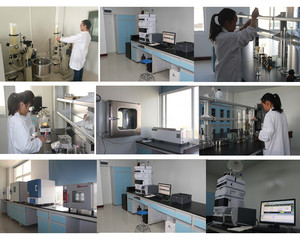 高品質テストフェンフェヌグリークエキス粉末サポニン<span class=keywords><strong>50</strong></span>%-85% HPLC - Product Image 5