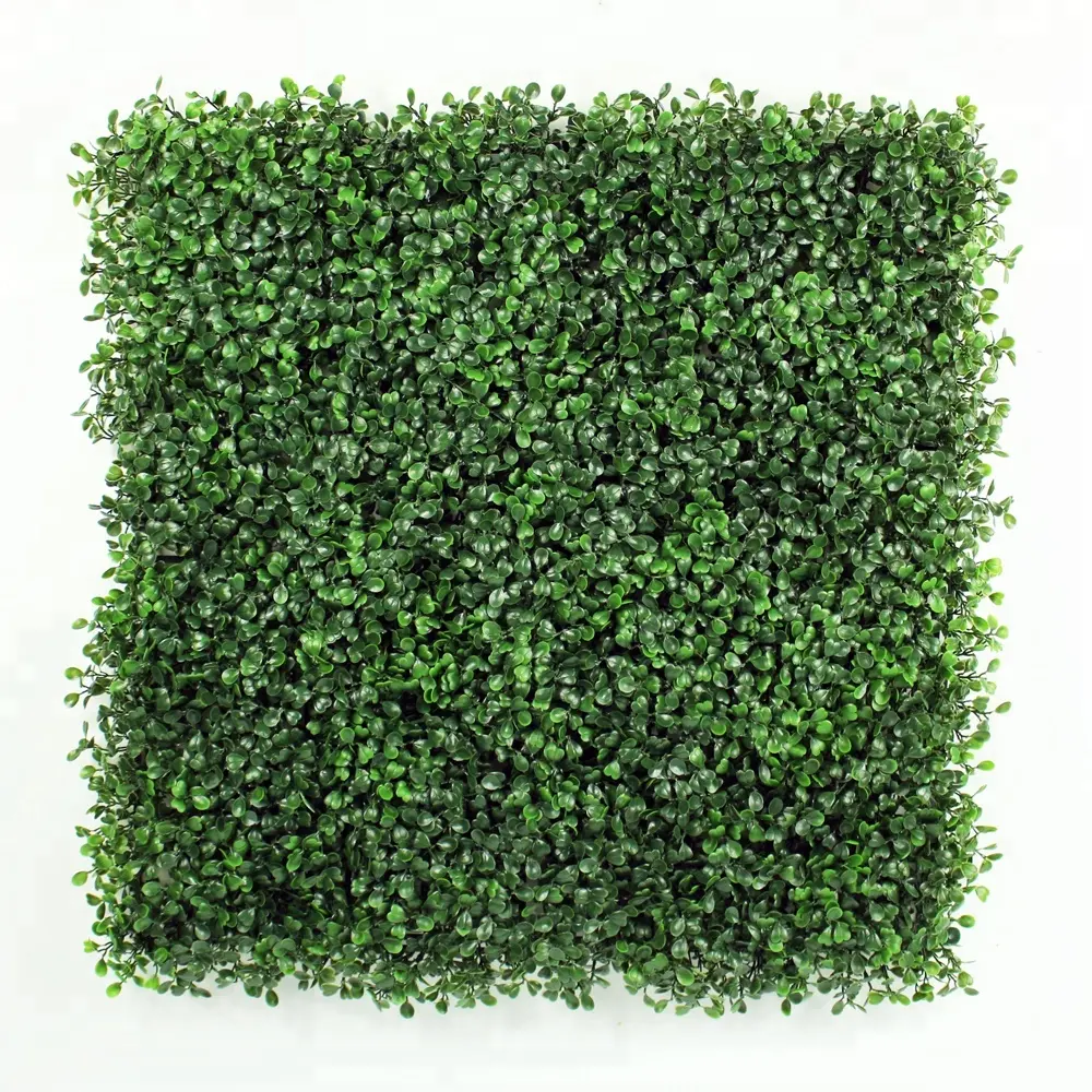 Artificial Boxwood Hedge Fence Panel Fresh Pe 3-5 Years Warranty New für Home Garden Plastic als Pictures, Natural Color Shrubs