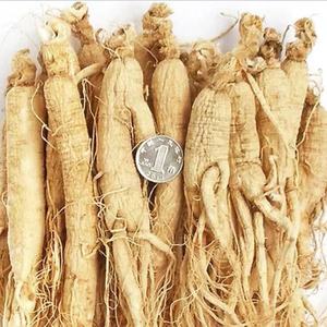 Ücretsiz Örnek Tonik Satın Ginseng kökü Changbaishan Ginseng - Product Image 4