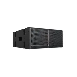 Cina Dual 8 pollice Outdoor Line Array Altoparlanti