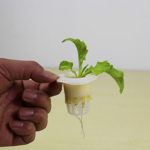 핫 세일 수경 플라스틱 그물 냄비 야채 재배 - Product Image 6