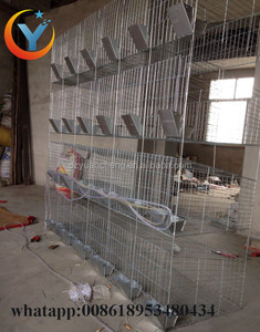 H Type Large Scale Farming <strong>Indoor</strong> <strong>Rabbit</strong> <strong>Cage</strong> and Wholesale <strong>Rabbit</strong> Hutches - Product Image 5