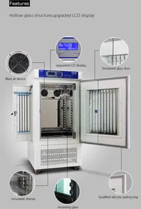 Incubateur automatique pour graines, couveuse d'humidité et température, germicide