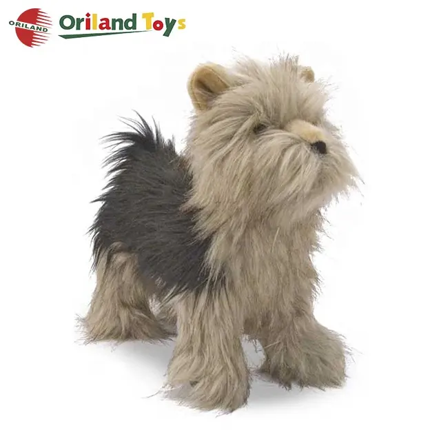 Jouet en peluche lettre c, Yorkshire Terrier, chien pour jeu