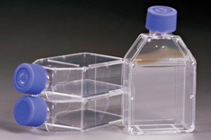 Flacons <span class=keywords><strong>de</strong></span> culture cellulaire en plastique volumétriques <span class=keywords><strong>de</strong></span> laboratoire, 25 <span class=keywords><strong>ml</strong></span>, 50 <span class=keywords><strong>ml</strong></span>, 250 <span class=keywords><strong>ml</strong></span>, 600 <span class=keywords><strong>ml</strong></span>, <span class=keywords><strong>de</strong></span> bonne qualité - Product Image 4