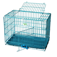 Cage pour chien en métal écologique, vente en gros d'usine, fermeture simple à poussoir, facile à assembler, cage pliable, durable, grand espace