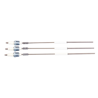 Sensores de Llama de Cerámica, Aislante de Electrodos, Encendedor de Cerámica de Alúmina