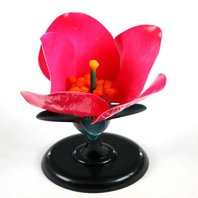 생물학 교육 에이즈 플라스틱 복숭아 꽃 모델