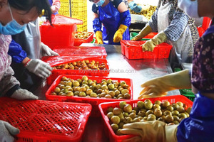ลิ้นจี่ลิ้นจี่ผลไม้สดลิ้นจี่ลิ้นจี่ในกล่องพลาสติกไม่บรรจุกระป๋อง - Product Image 6