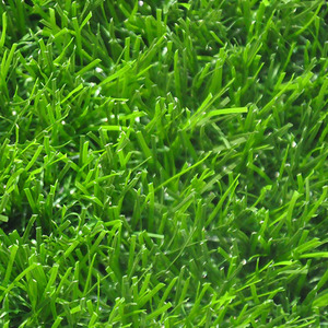 Verde diseño <span class=keywords><strong>Ornamental</strong></span> malasia césped - Product Image 4