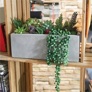 Set di 13 <span class=keywords><strong>Piante</strong></span> Succulente <span class=keywords><strong>Artificiali</strong></span> Assortite di Alta Qualità in Vaso di Cemento Rettangolare Fatto a Mano, Ecologico e Rustico - Product Image 6