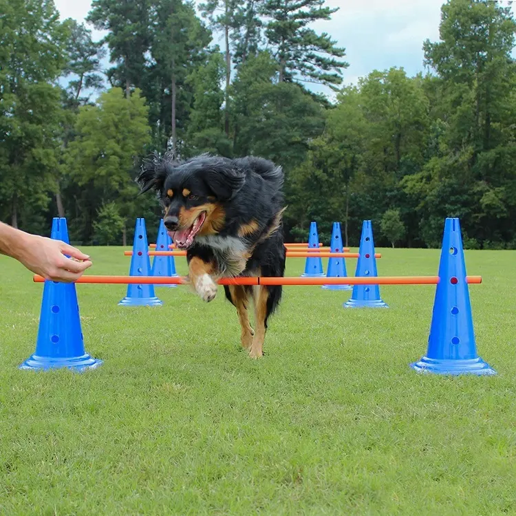 Cani da compagnia giochi all'aperto esercizio agilità attrezzature per l'allenamento barriera Bar animali da compagnia Sport addestramento giocattoli cani salta in alto giocattoli