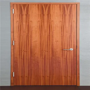 De teca capas Diseño de la puerta de madera en Pakistán precio