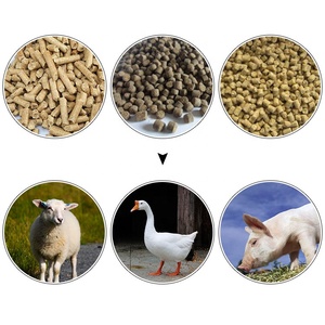 Machine à granulés d'aliments pour volailles en Zambie, petite machine à granulés, aliments pour animaux, aliments pour bétail, machine à granulés d'aliments - Product Image 3
