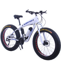 Vélos électriques de montagne à pneus larges, nouvelle conception puissante 2019, moteur central, batterie au lithium 48V, vélo électrique à pneus larges