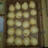 Baies fraîche en plastique transparent, fruits, livraison gratuite