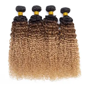 Cuticle Aligned Raw Virgin Brazilian Hair 10 a Grade Three Tone Color Curly Hair Extension Vendors From China