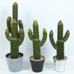 Bán Đen gai cổ tích trụ cột Trang Trí Bất Động Cảm Ứng Flower nhân tạo cây xương rồng trồng trong chậu - Product Image 6