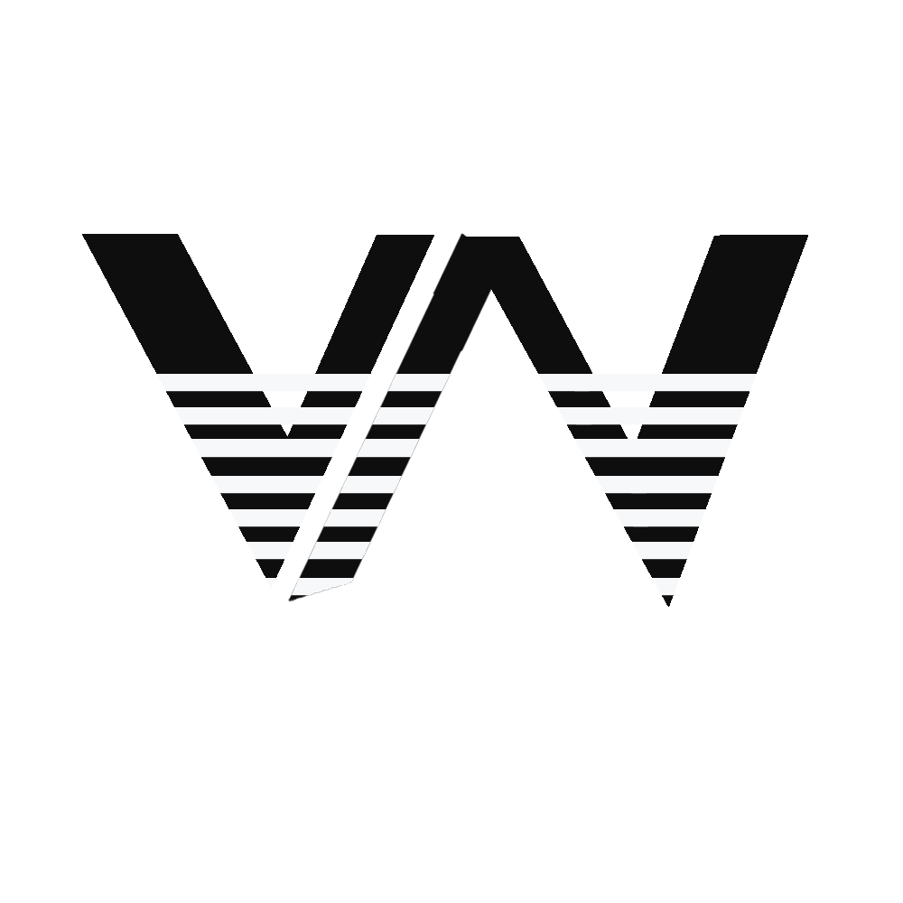 Shijiazhuang Vansnice Import And Export Trading  Co., Ltd. logo