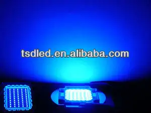 Hot Super Azul 420nm 440nm 450nm 460nm 430nm 30W 50w 100W de alta potência levou chip para planta crescimento