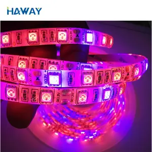 Maliyet tasarrufu su geçirmez bitki büyümek LED şerit ışık SMD2835 60LEDS/M