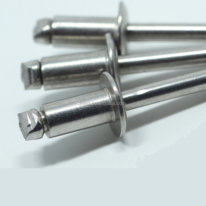 <span class=keywords><strong>Rivet</strong></span> aveugle étanche en acier inoxydable 304 de taille standard - Product Image 2