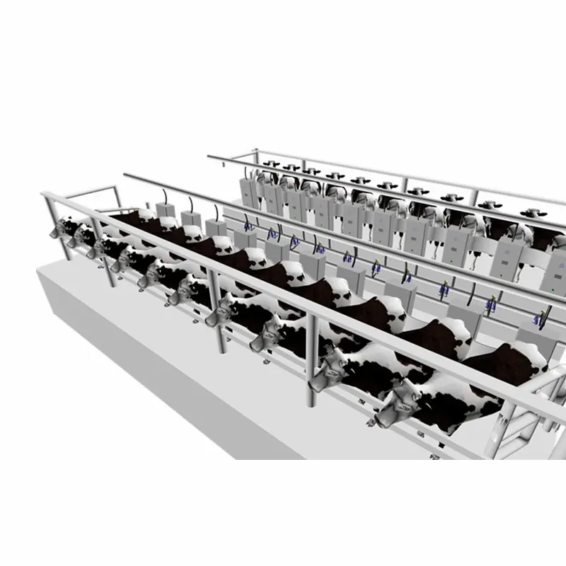 Automatico sistema di mungitura della mucca di mungitura prezzo della macchina in India