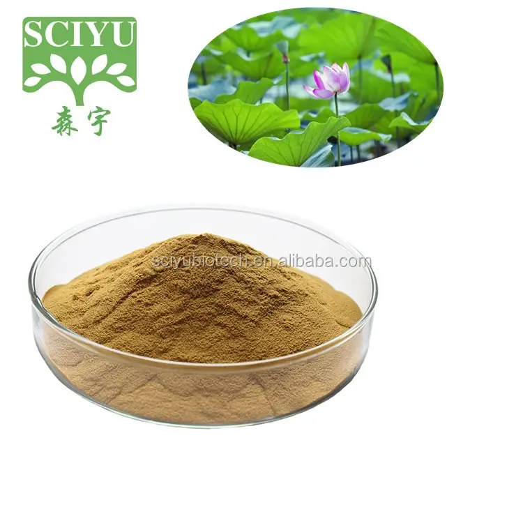 20:1 Nuciferin 0.2% 1% Lotus Leaf Extract Powder