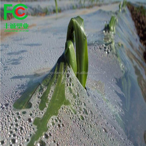 Nhà Máy Cung Cấp Lớp Phủ Nhựa Cho Nhà Máy, Tấm Phủ Nhựa Nông Nghiệp, Phủ Bạc/Đen Để Bán Nóng - Product Image 5