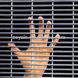 Anti- grimper galvanisé soudés escrime - Product Image 1