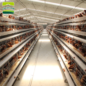 Aves <span class=keywords><strong>de</strong></span> corral <span class=keywords><strong>de</strong></span> las granjas <span class=keywords><strong>de</strong></span> las jaulas en batería <span class=keywords><strong>gallinas</strong></span> ponedoras al por mayor aves café <span class=keywords><strong>huevos</strong></span> <span class=keywords><strong>de</strong></span> pollo coop para venta - Product Image 5