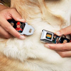 <span class=keywords><strong>Collar</strong></span> para perro con hebilla de cinturón de seguridad