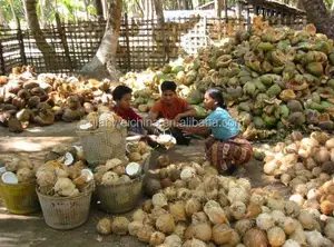 Mesin Produksi Jalur Pengolahan Tanaman Kelapa Kering