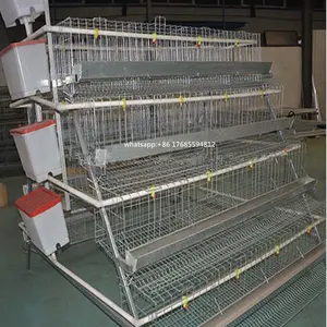 Élevage de volaille à suspendre, cage de volaille pour animaux de ferme avec batterie, outil utilisé