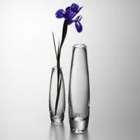סיטונאי זול הידרופוני ברור צמח גבוה צילינדר זכוכית פרח אגרטל