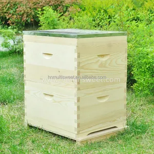 Sarang Lebah Pinus Selandia Baru 8 Bingkai Australia Kotak Lebah Sarang Lebah Australia