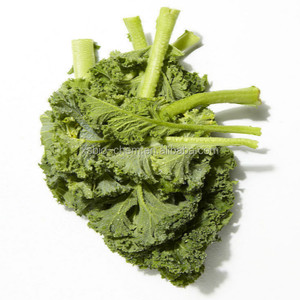 GMP alta calidad natural estándar Kale polvo - Product Image 3