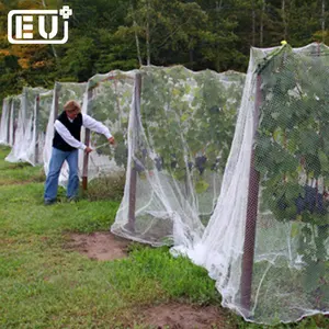 Sert plastik ekran örgü bağ fly netleştirme kuş tuzak net