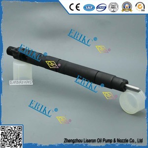 Gốc DIESEL phun embr00101d EMB r00101d 28231014 phổ biến Đường Sắt phun 1100100-ed01 9686191080 - Product Image 6