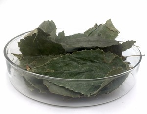 Kualitas Terbaik Epimedium Ekstrak 98% Icariin Oleh HPLC - Product Image 3