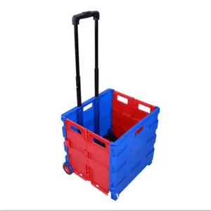 Bafulo-carrito de mercado de dos ruedas, bolsa de acampada