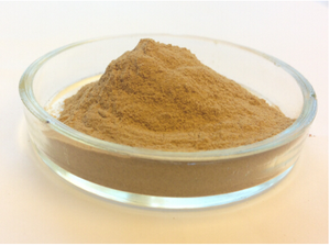 ロングゼコーダイセプスエキス粉末キノコシリーズ植物エキス - Product Image 5