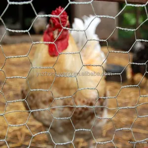 Malla de alambre Hexagonal para gallinero, malla galvanizada para aves de corral