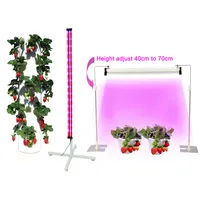 ストロベリーエアロポニックコンテナホーム垂直温室屋内植物アクアポニックス水耕栽培システム