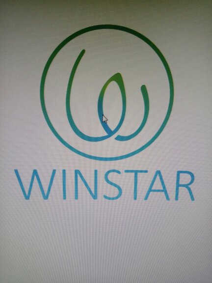 Suzhou Winstar International Trade Co., Ltd. logo